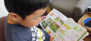 絵本を読む子ども