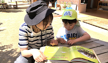 子どもと絵本を見る保育者